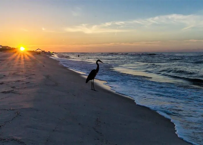 Apartment Club C-310 New-beachfront-views-exquisite-sleeps 8 Full Service Resort- Gulf Shores